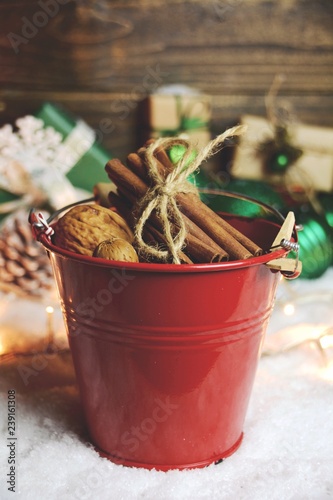 Weihnachtskarte - Nüsse