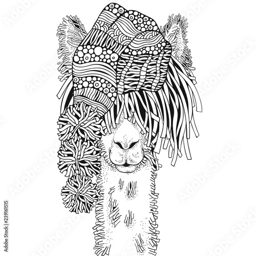 Winter llama. Coloring Book page for Adult and children in doodle style. Black and white background. Hand-drawn christmas lama.