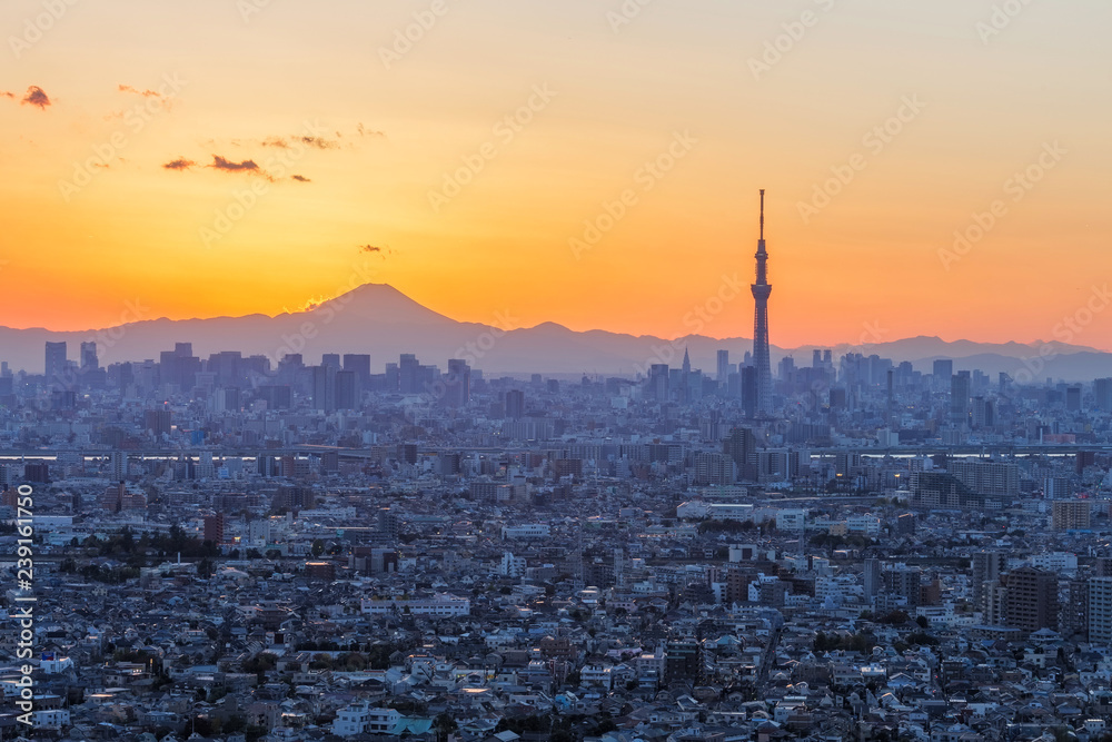 Fototapeta premium Tokyo city, Japan