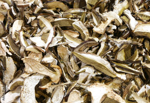 Fotografia background of edible mushroom porcines
