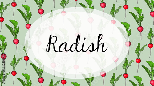 Vector Illustration of Radish Pattern Sketch Style