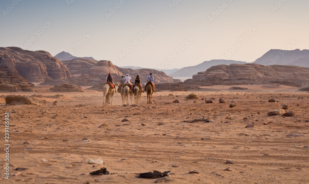 Fototapeta premium Caravan in the desert