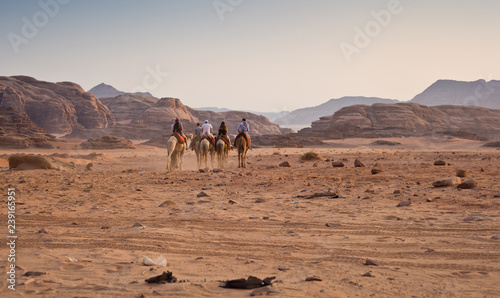 Caravan in the desert
