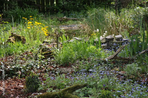 Frühling im Naturgarten
