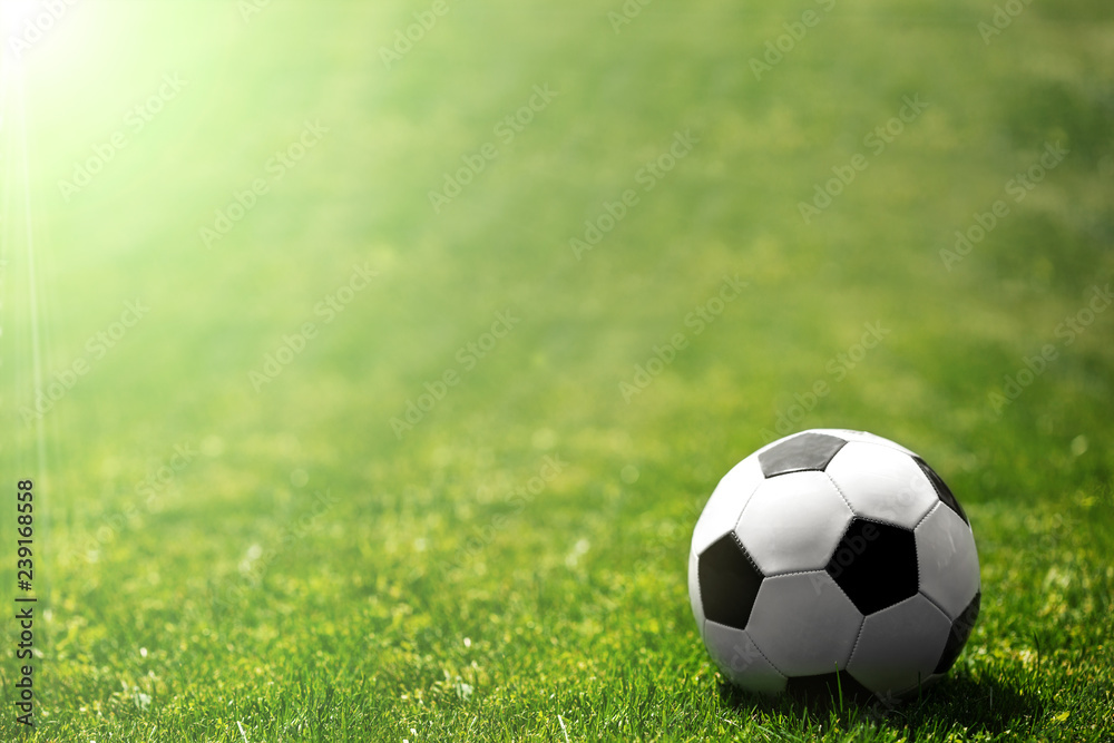 Fototapeta premium Soccer ball on the grass