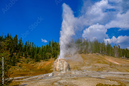 A wide, closeup view of the Lonestar Geyser in full eruption at Yellowstone National Park