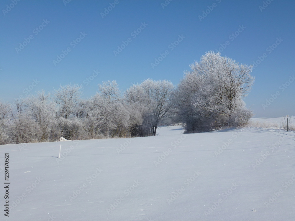 Fototapeta premium Winterlandschaft