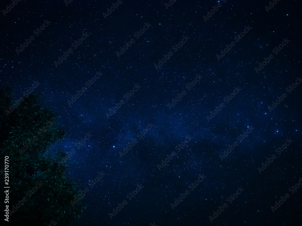 Fototapeta premium OLYMPUS DIGITAL CAMERA