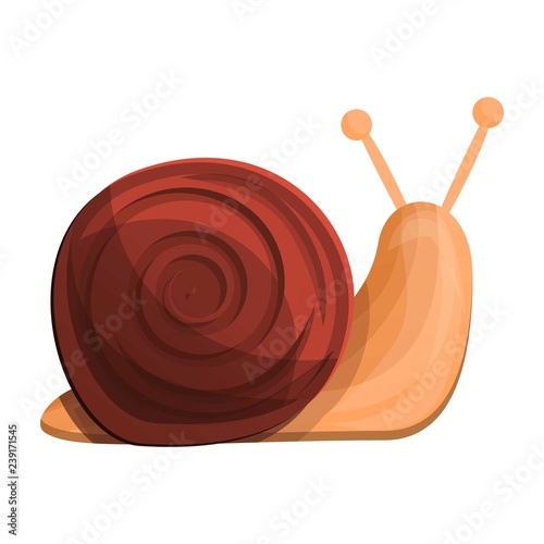 Snail icon. Cartoon of snail vector icon for web design isolated on white background
