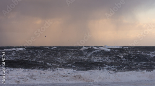 Winter seascape at sunset with stormy sky and white cap waves Iceland winter