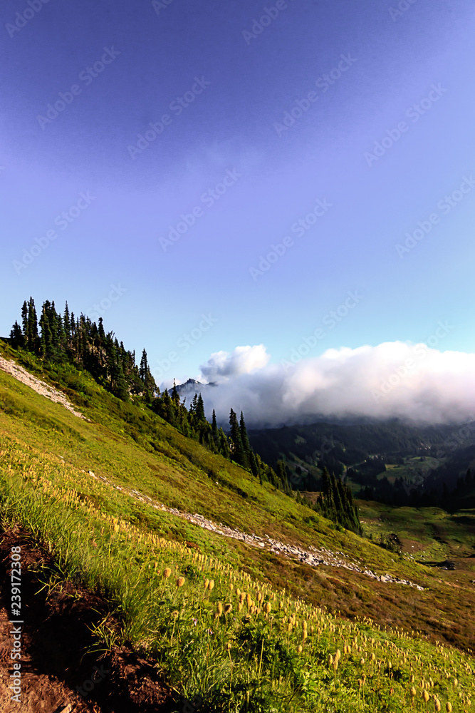 dark shadowy mountail landscape with fluffy white clouds