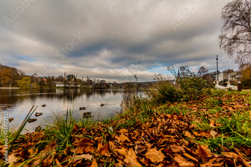 Doyards lake shore with green grass and dry leaves, ducks swimming in calm water against cloudy sky, village in background, autumn day afternoon in Vielsalm in the Belgian Ardennes photo