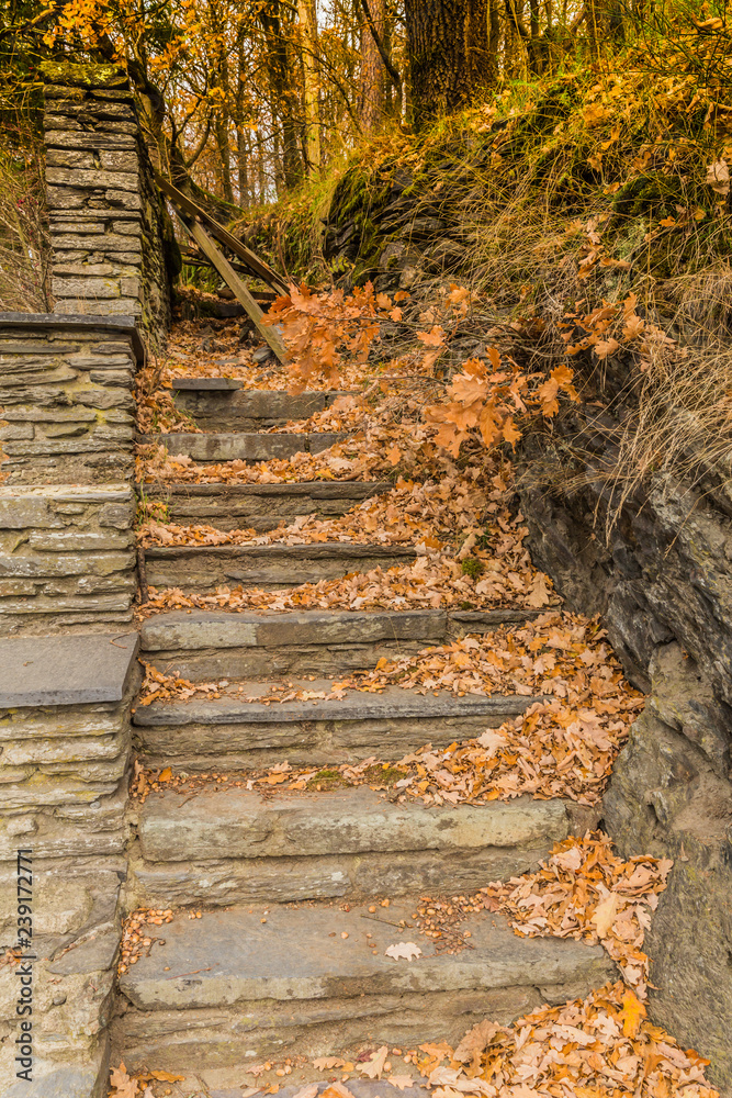 Fototapeta piękny obraz kamiennych schodów z wieloma suchymi liśćmi i zablokowanych gałęziami drzew w Vielsalm w piękny i pochmurny jesienny dzień w belgijskich Ardenach