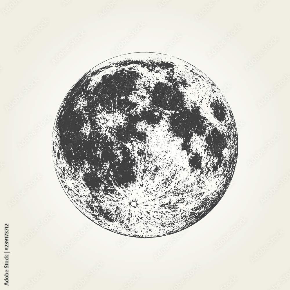 Naklejka premium Realistyczny księżyc w pełni. Szczegółowa monochromatyczna wektorowa ilustracja