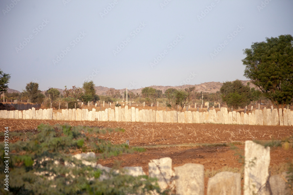 fields in india stone fence cultivated