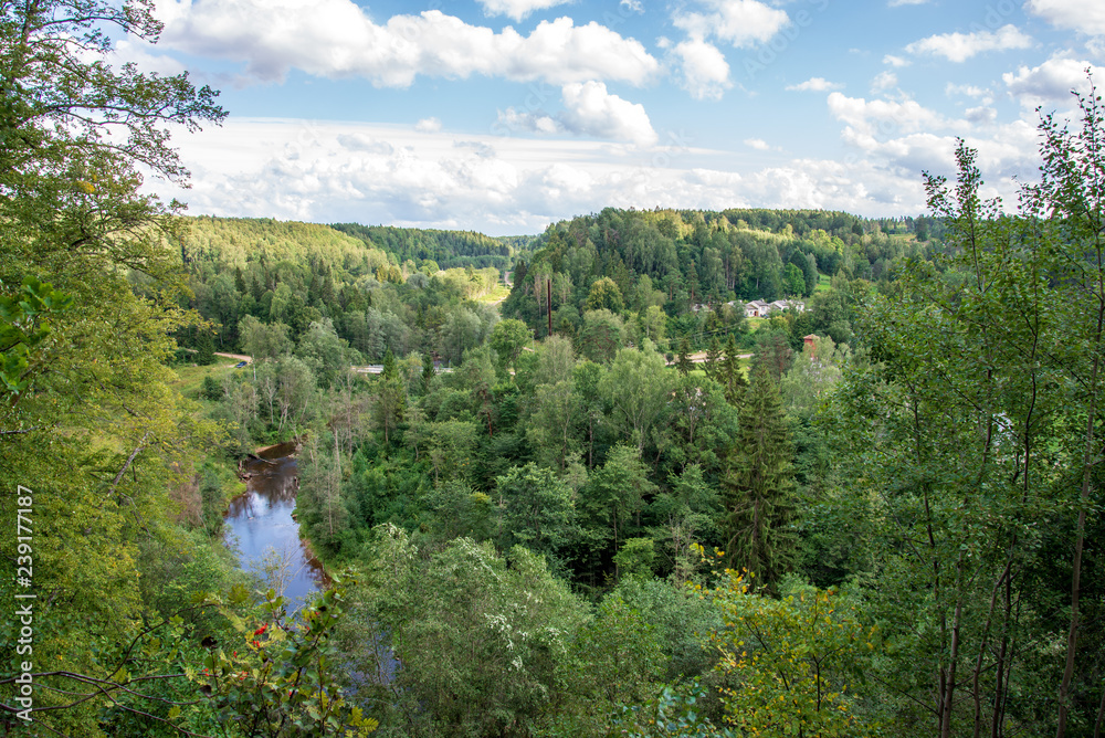 wavy river in forest in green summer