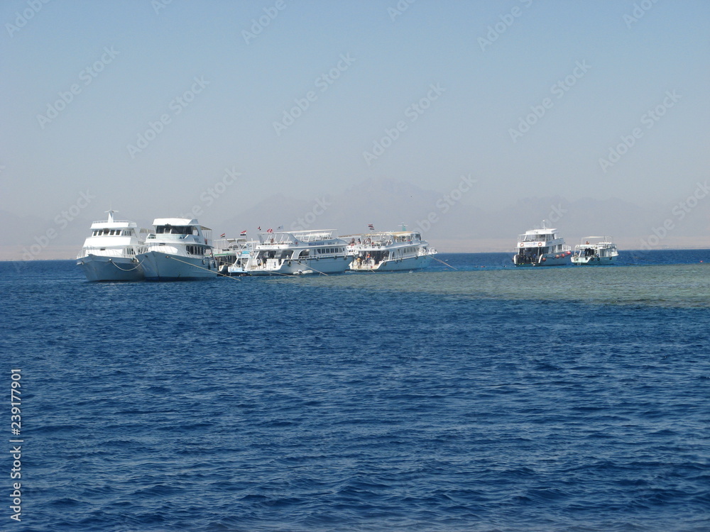 cruise ship in sea cruise ship in sea