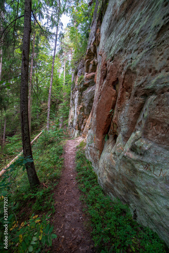sandstone cliffs with tourist trail on river of gauja  Latvia