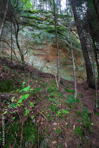 sandstone cliffs with tourist trail on river of gauja, Latvia