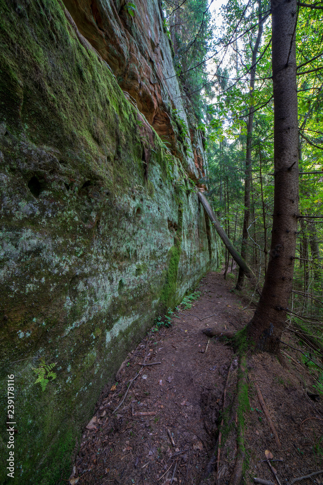 sandstone cliffs with tourist trail on river of gauja, Latvia