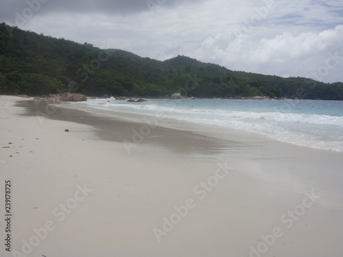 beach and sea