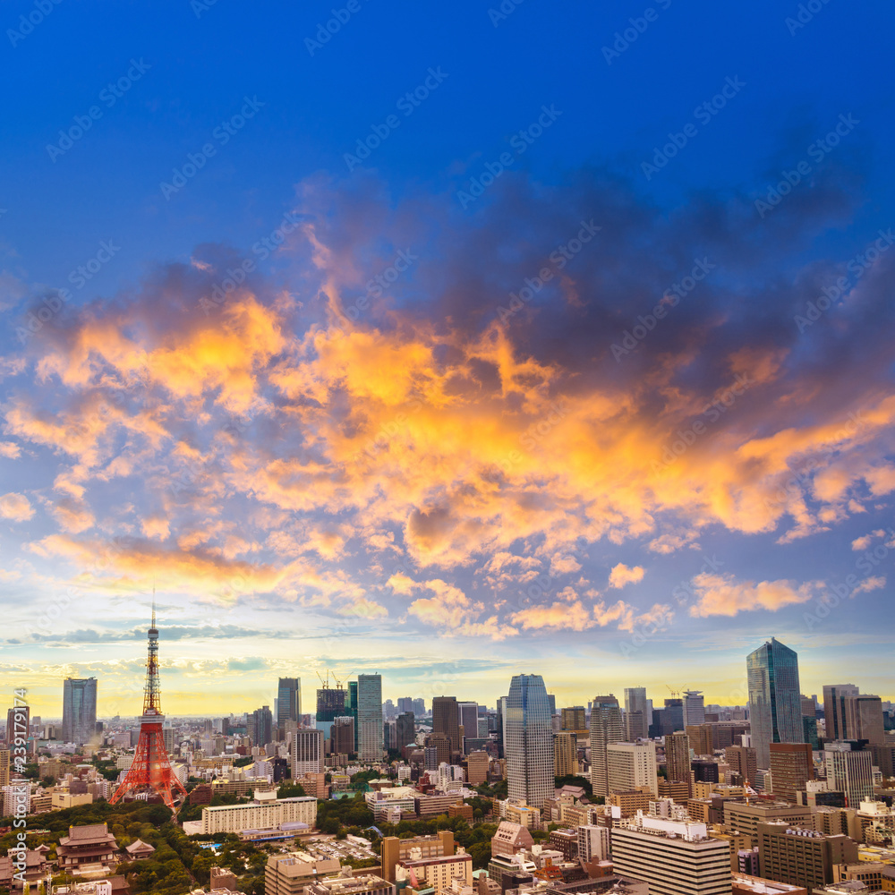 Fototapeta premium Tokyo Skyline, japan cityscape at twilight, view of office building and downtown and street of minato in tokyo with sunset / sun rise sky background. Japan, Asia