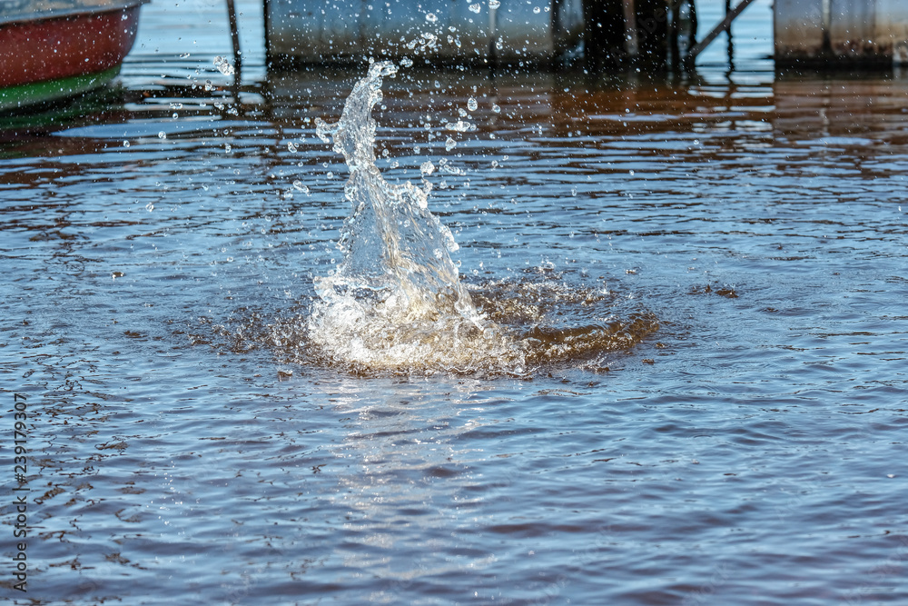 Obraz premium lakeside beach details with sand, rocks and blur background