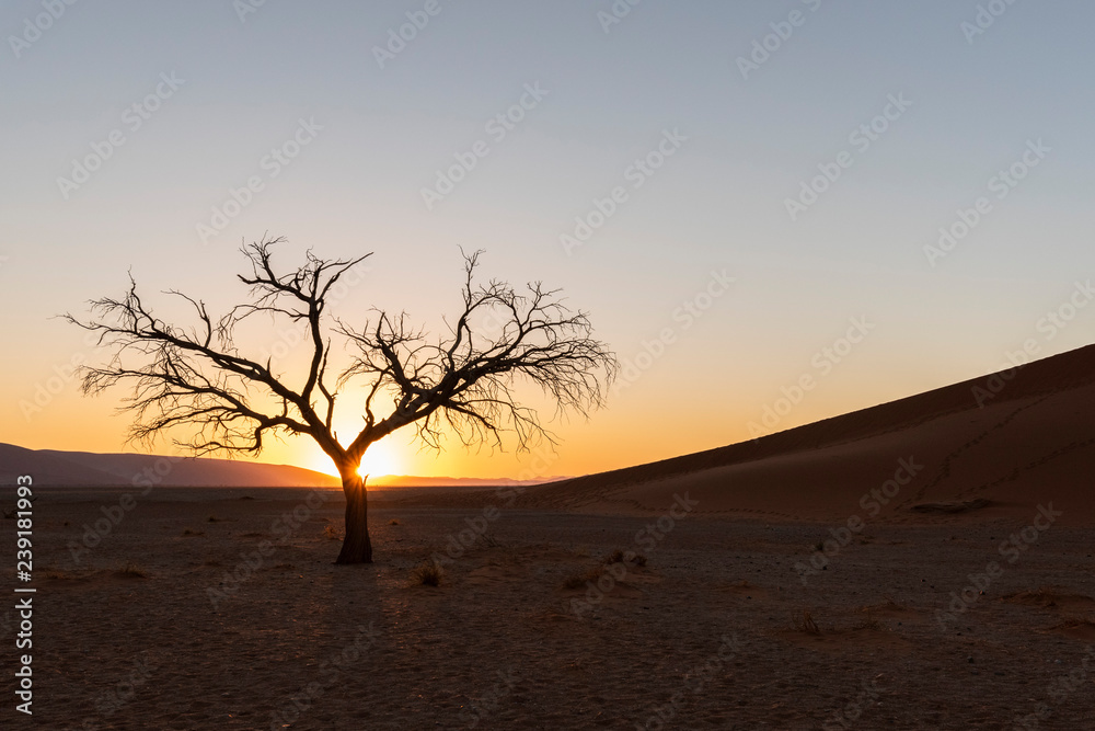Desierto de Deadvlei Namibia