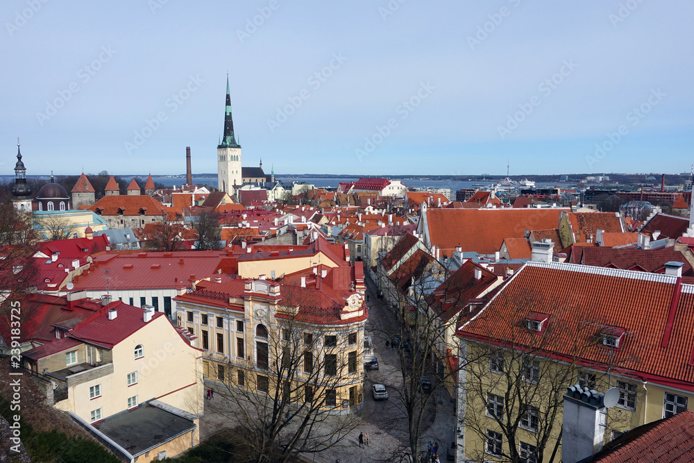 Fototapeta premium Panorama of Old town with Town hall and Toompea hill, , Tallinn, Estonia