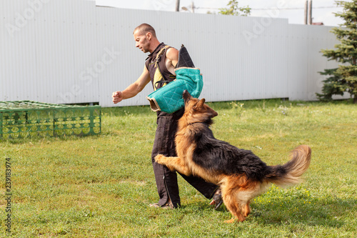The instructor conducts the lesson with the German Shepherd dog © BY-_-BY