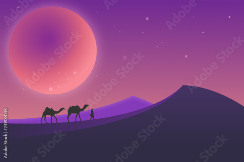 Desert landscape during the night