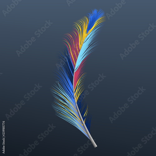 Feather icon. Realistic illustration of feather vector icon for web design