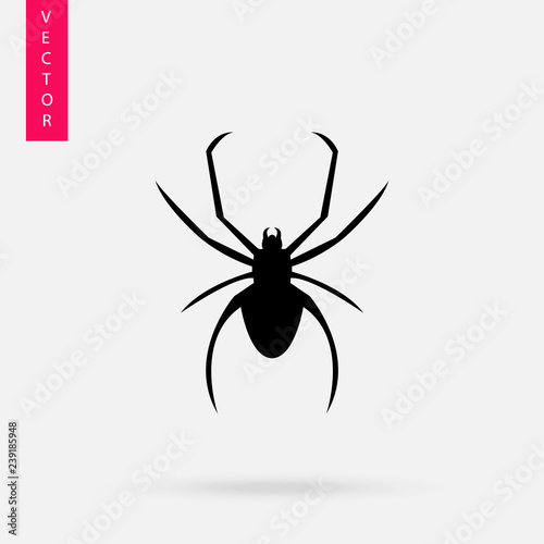 Spider icon, logo on white background
