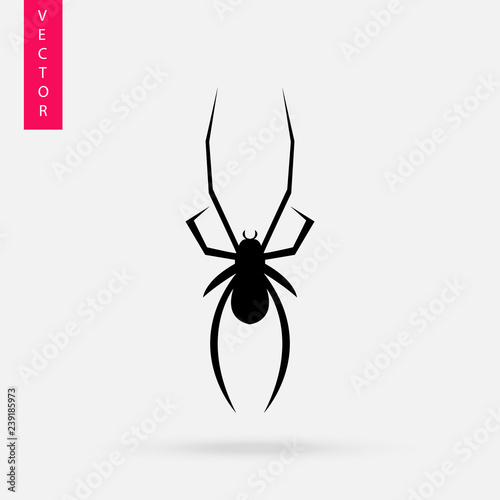 Spider icon, logo on white background