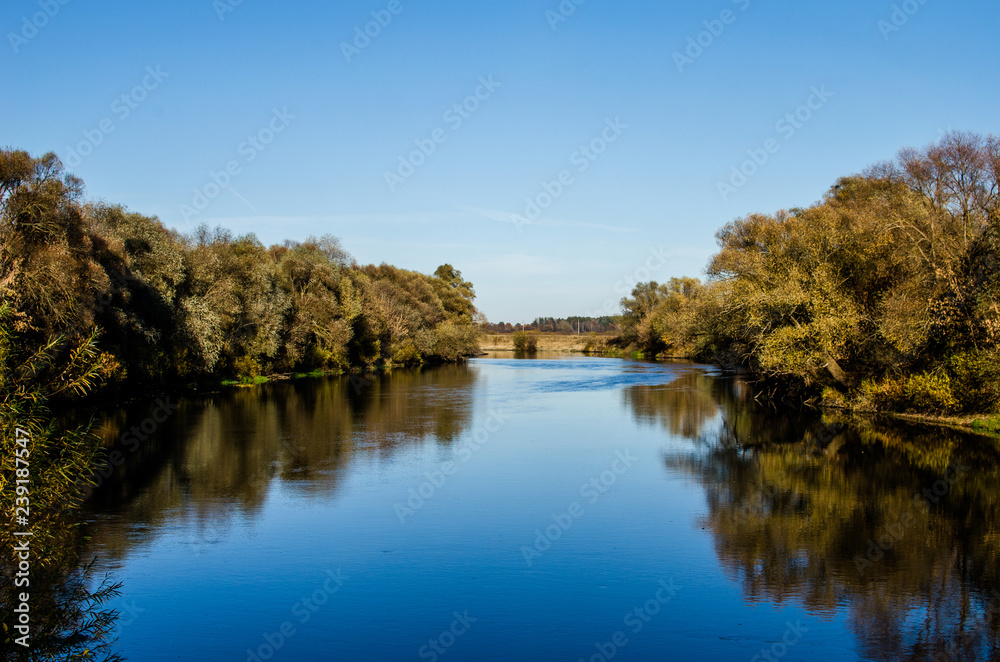 River surrounded by trees with a steady flow