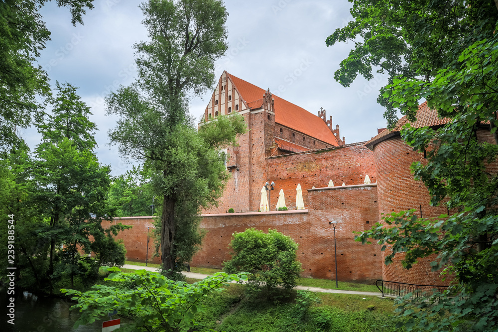 Fototapeta premium Ordensburg castle in Olsztyn, Poland