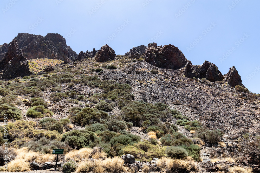 Fototapeta premium Nationalpark El Teide in Teneriffa,
