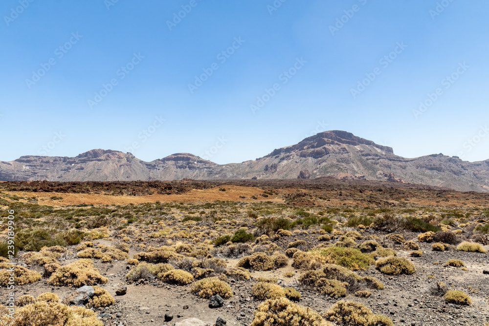 Nationalpark El Teide in Teneriffa,