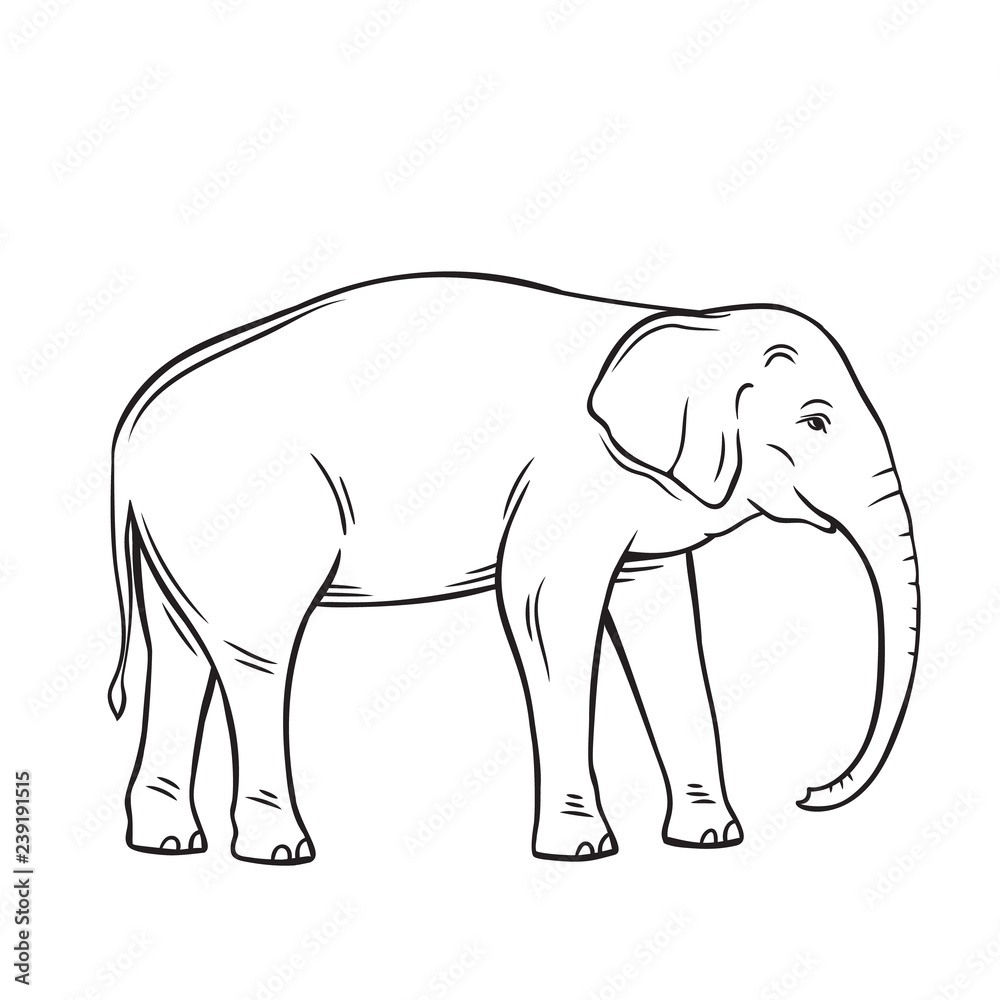 Elephant vector, isolated black icon Elephant vector, isolated black icon