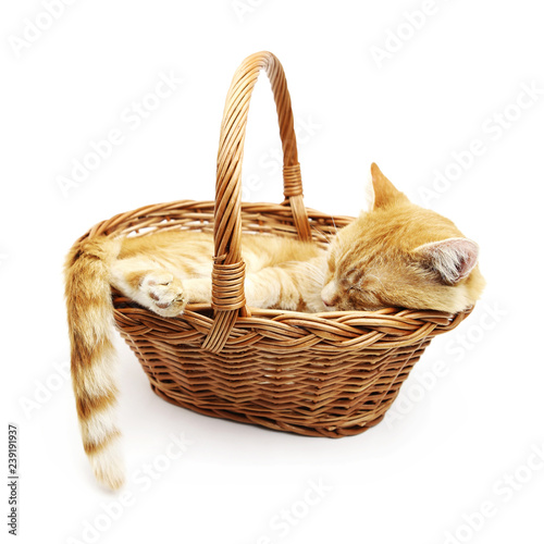 ginger cat sleeps inside a wicker basket isolated on white background
