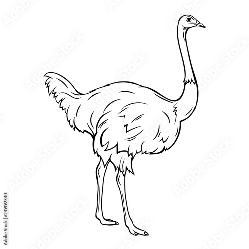 Outline ostrich icon