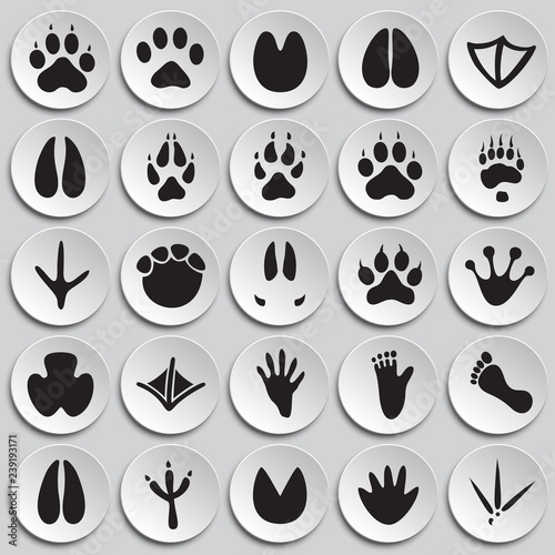 Animal foot prints icons set on plates background for graphic and web design, Modern simple vector sign. Internet concept. Trendy symbol for website design web button or mobile app
