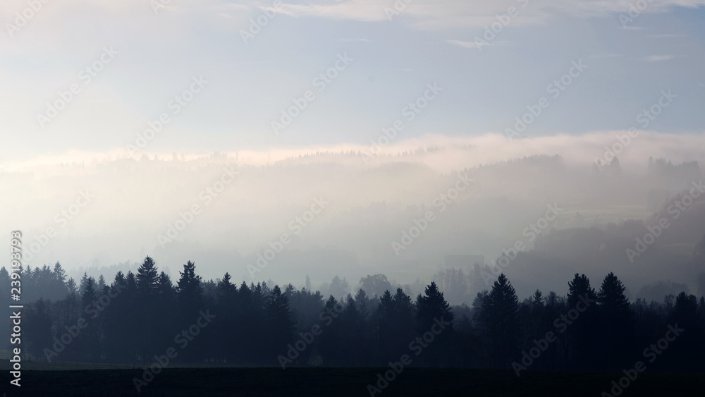 Obraz premium Nebelmeer