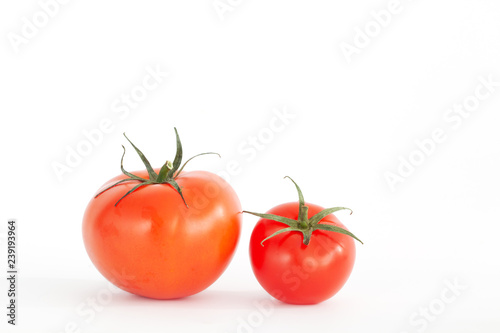 Strauch-Tomaten, isoliert