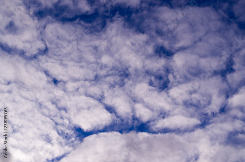 blue evening sky with white and gray clouds; cumulus. background; nature