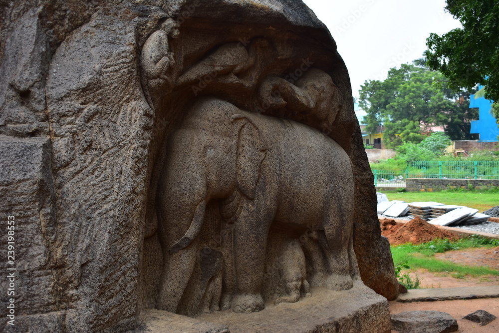 Chennai, Tamilnadu - India - September 09, 2018: Rock cut sculptures representing a gorup of elephants