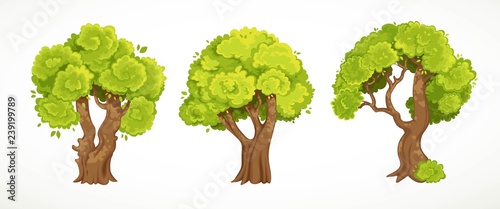 Set of old thick trees with summer or spring green foliage vector drawing isolated on white background