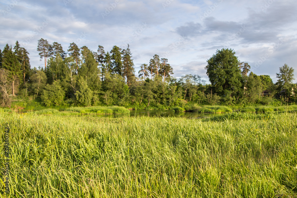 Fototapeta premium Country road along the riverbank in summer.