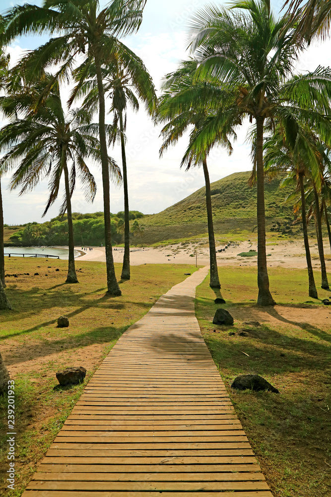 Wooden boardwalk in the sunlight leading to the Anakena beach on Easter island of Chile
