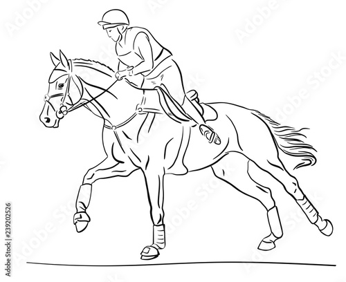 Equestrian event. Rider cantering on a horse.